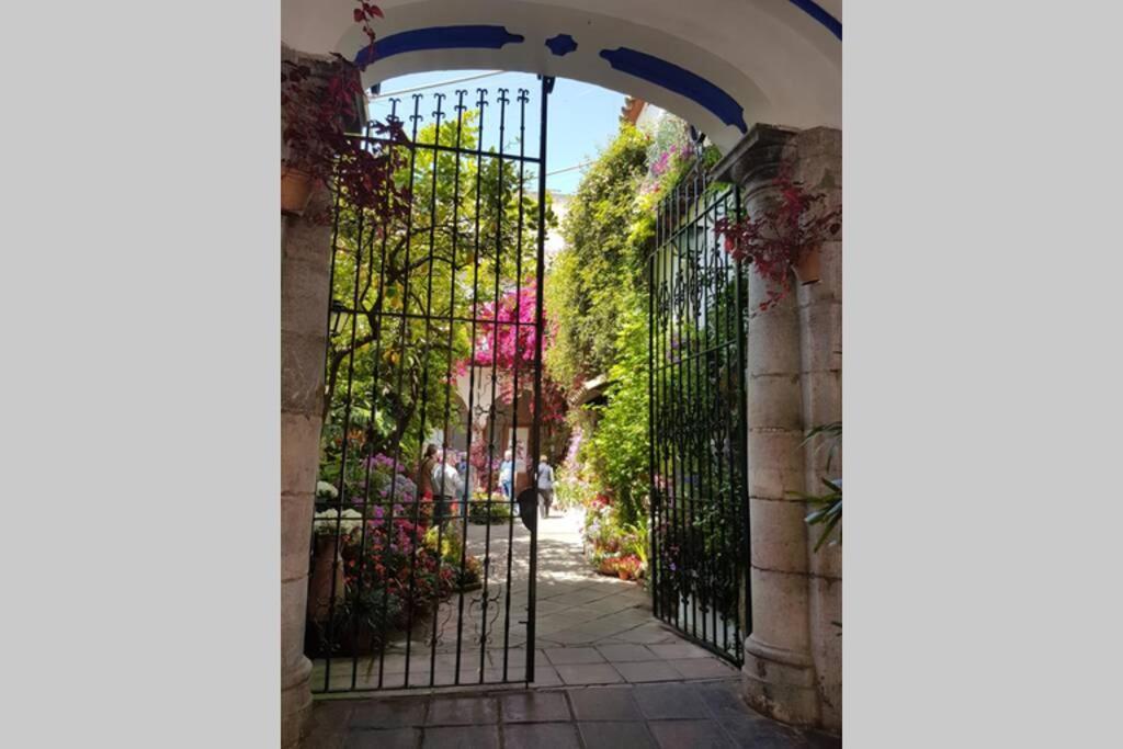 Apartamento San Pedro-Corredera Κόρδοβα Εξωτερικό φωτογραφία