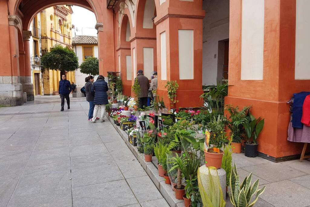 Apartamento San Pedro-Corredera Κόρδοβα Εξωτερικό φωτογραφία